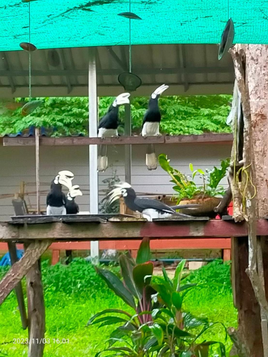 Eco Bungalow เกาะพยาม ภายนอก รูปภาพ